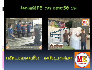 ถนนเพชรเกษม