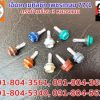 screw-16-colors-300×225