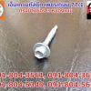 screw-48-zinc-300×225